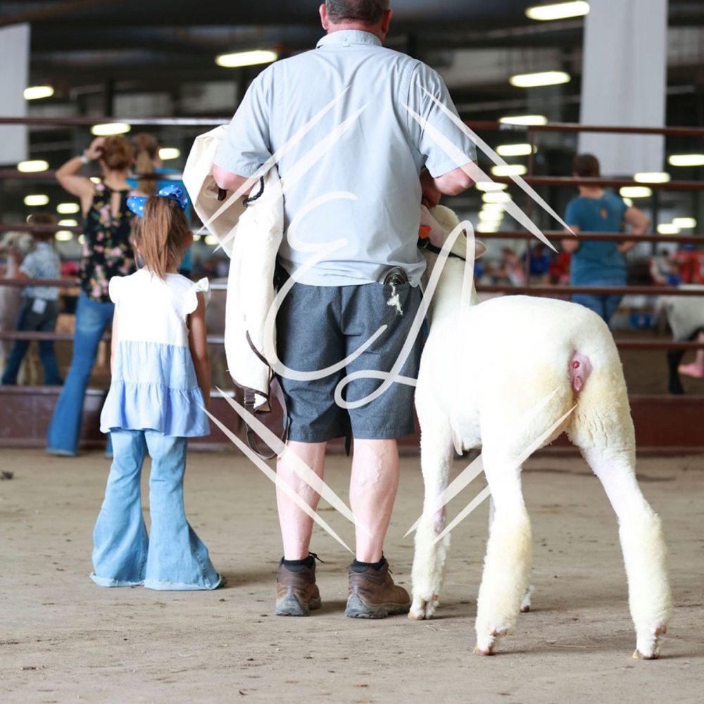 Meet your Posher, Alyssa